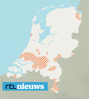 Buxusrups in Nederland